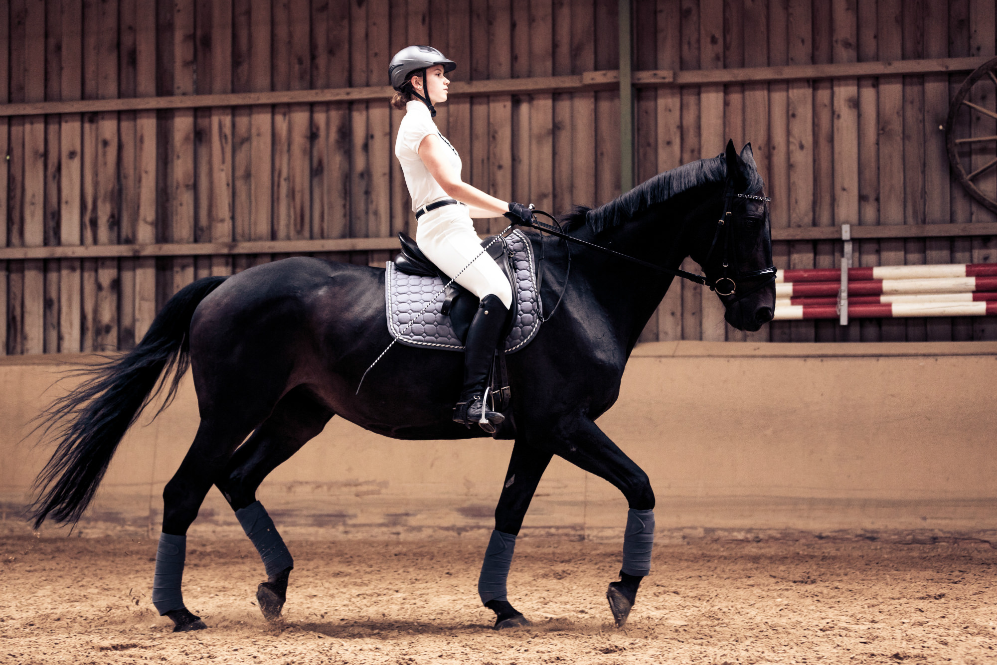 Ferco_Dressage_Indoor_Arena_Premier_Grandstand_Horse_3_smaller