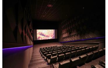 REEL Cinema