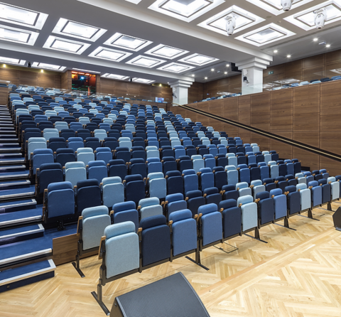 Audience Systems