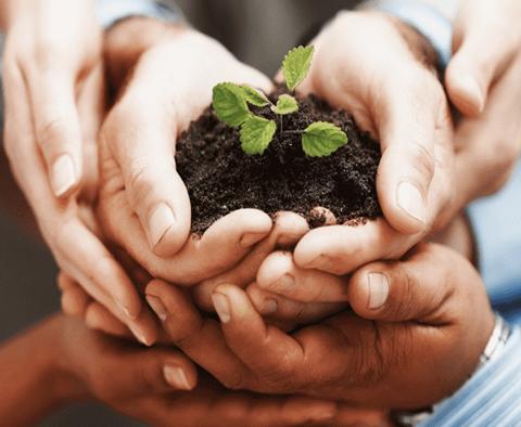 Sustainability